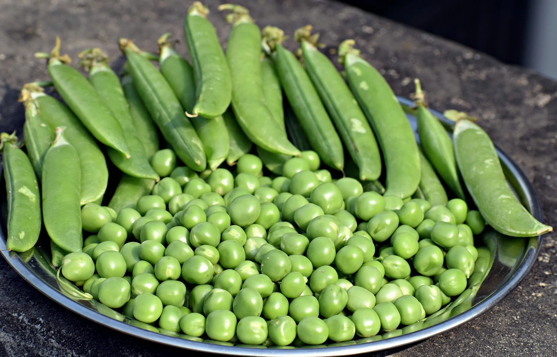 Early Alaska Pea Vegetable Seed