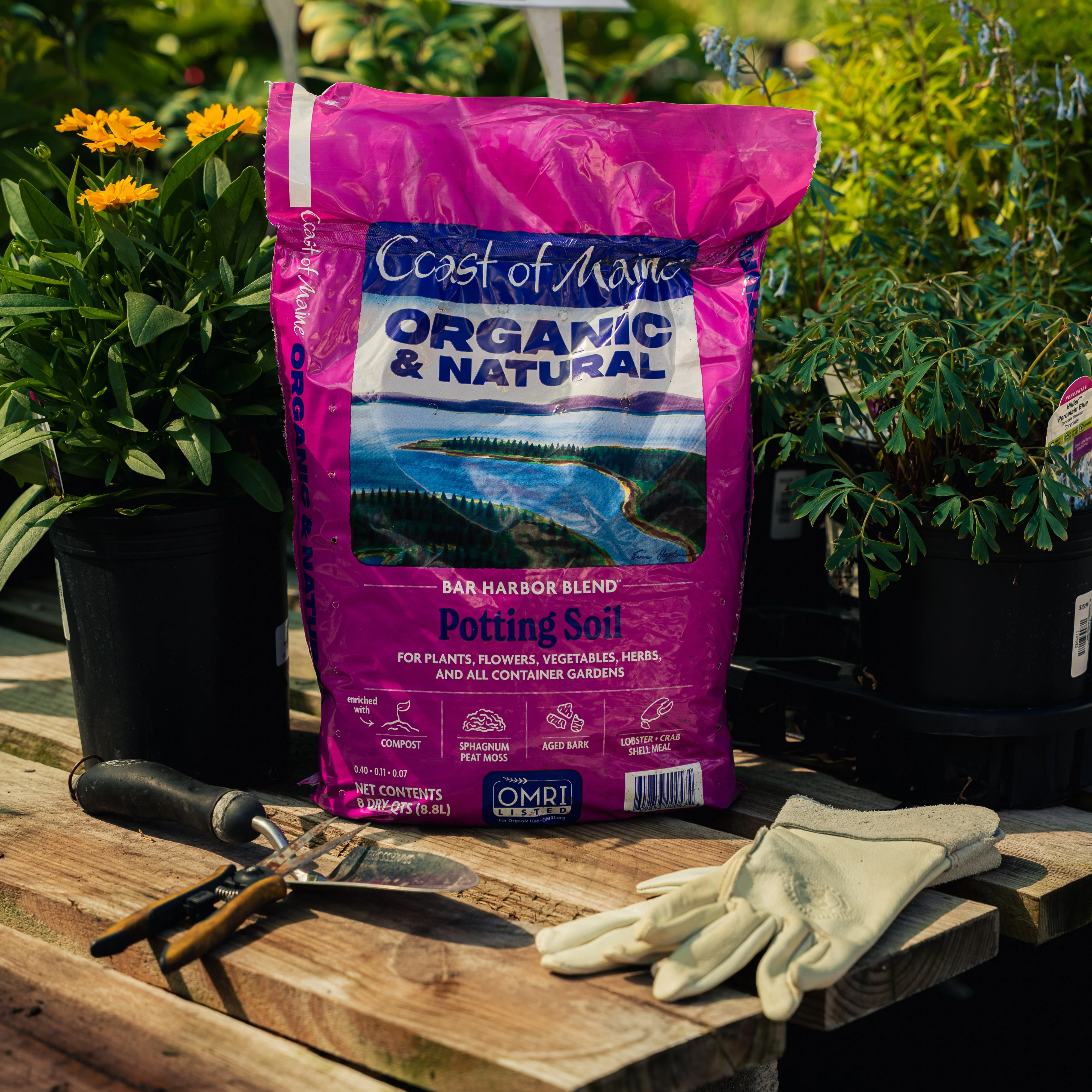 Coast of Maine Blend Organic Potting Soil