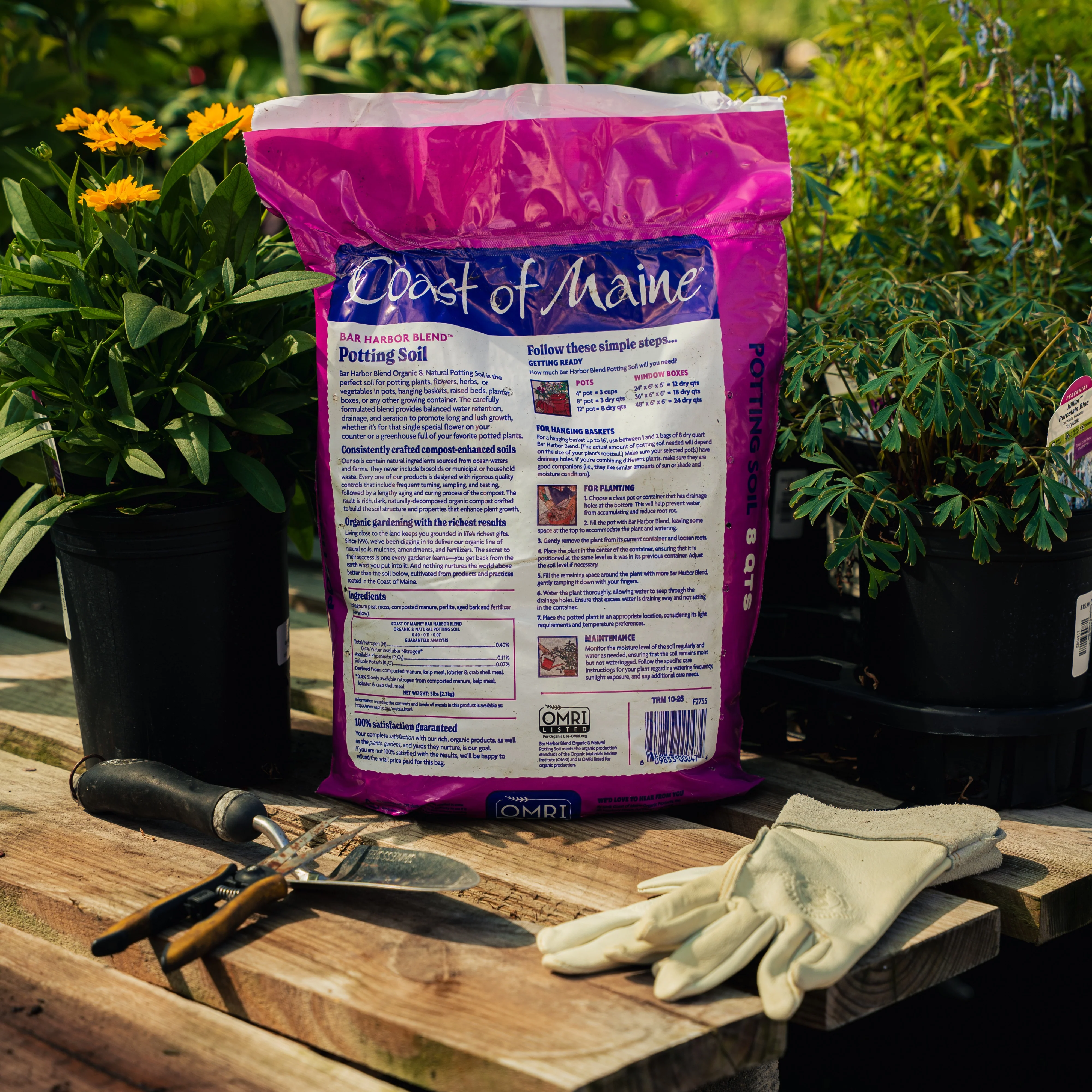 Coast of Maine Blend Organic Potting Soil - Image 2