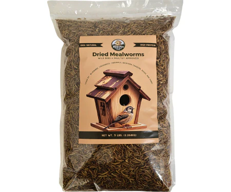Bird Pro Premium Dried Mealworms - Image 3