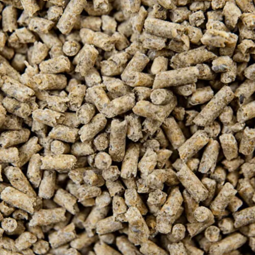 BUCKEYE™ Nutrition GRO ‘N WIN™ Horse Feed - Image 3
