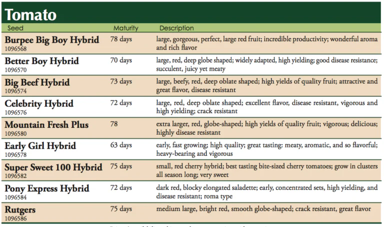 Burpee Big Boy Hybrid Tomato Vegetable Seed - Image 2