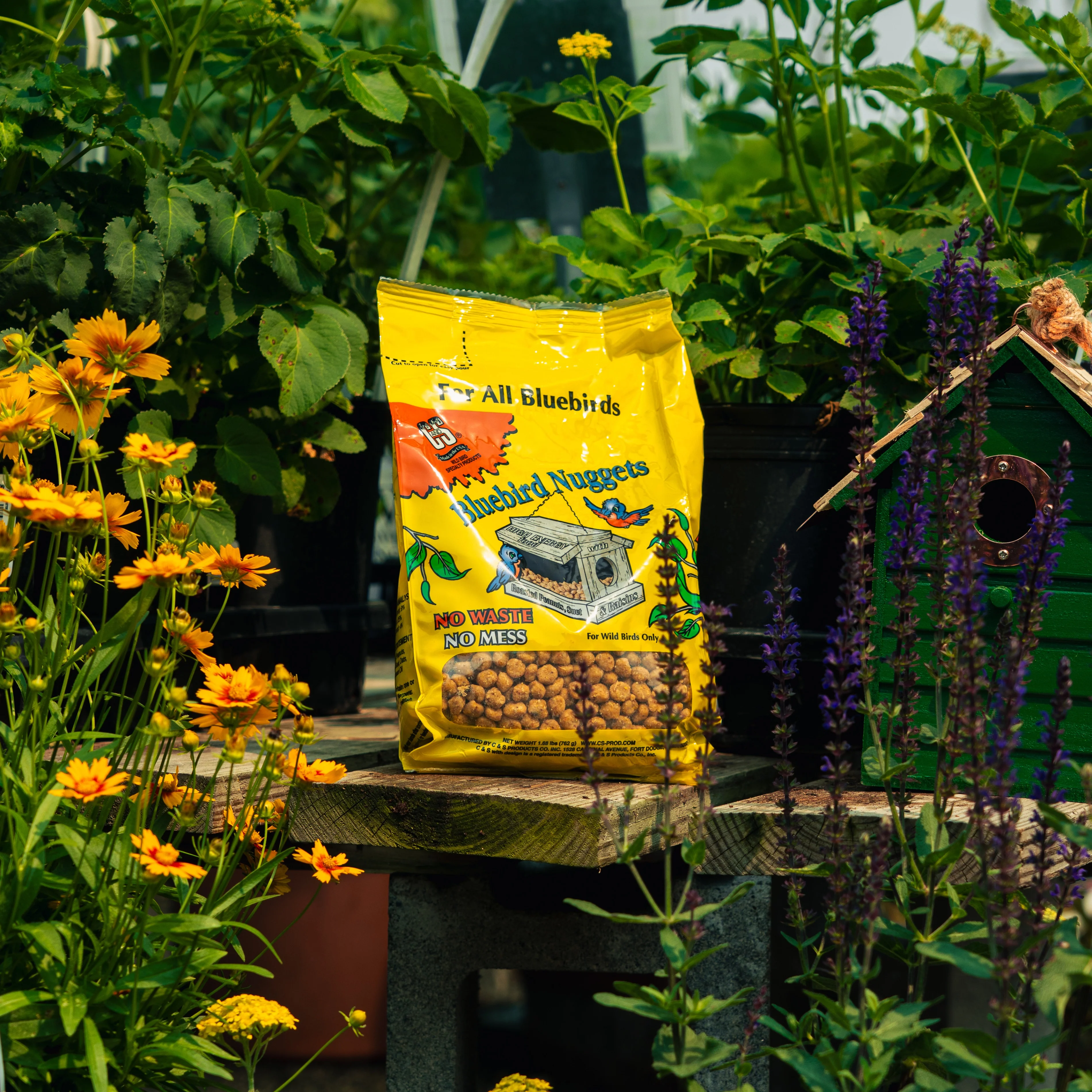 Bluebird Suet Nuggets Wild Bird Feed