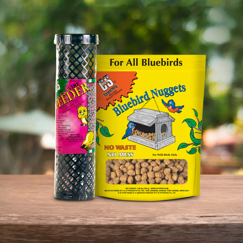 Bluebird Suet Nuggets Wild Bird Feed - Image 3