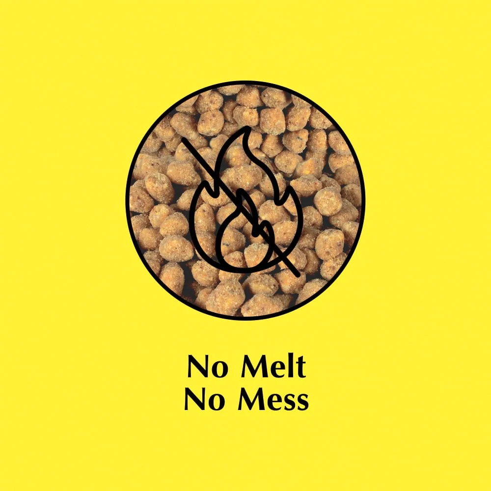 Bluebird Suet Nuggets Wild Bird Feed - Image 5