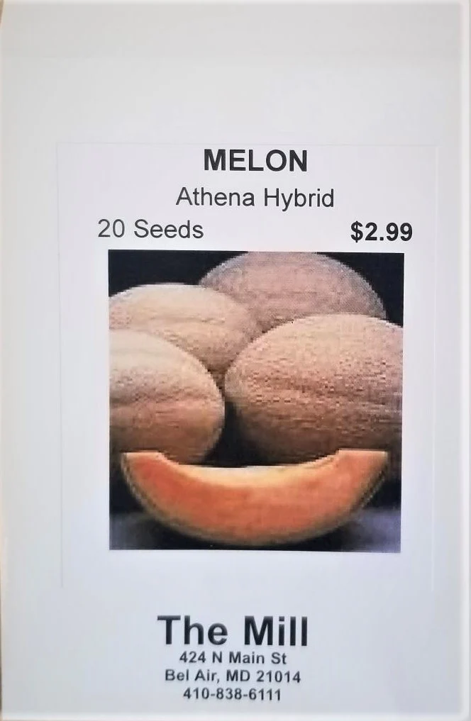 Athena Cantaloupe Vegetable Seed - Image 2