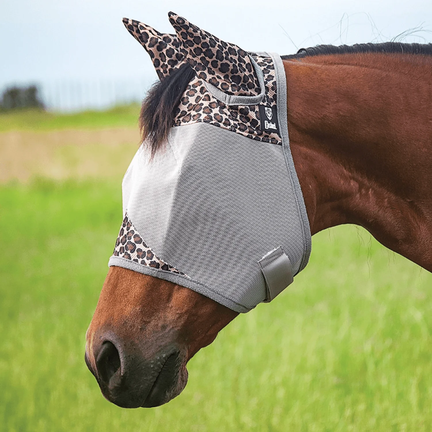 Cashel® Crusader Patterned Fly Mask with Ears – Small Pony (Leopard)