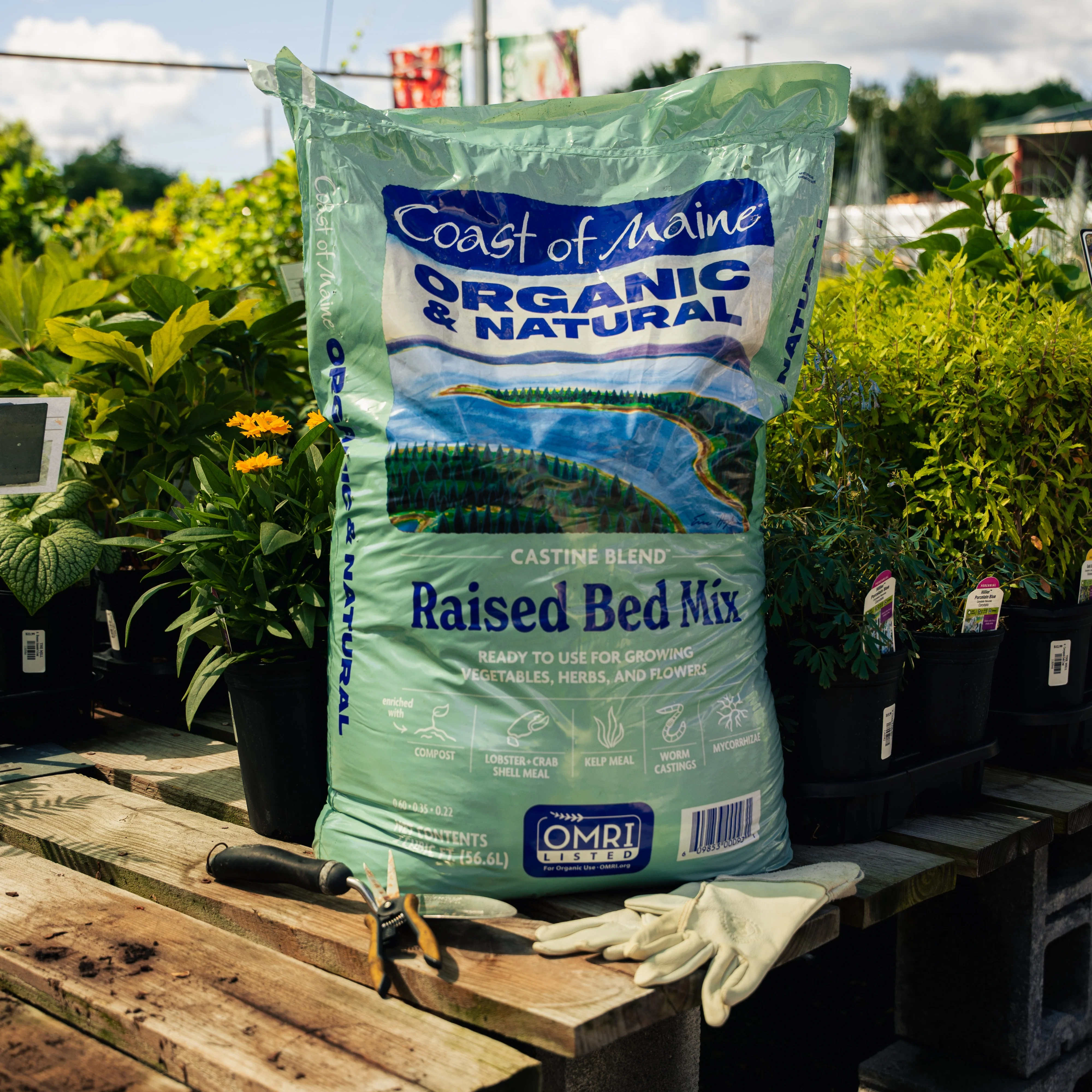 Coast of Maine Castine Blend Organic and Natural Raised Bed Mix