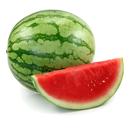 Charleston Gray Watermelon Vegetable Seed