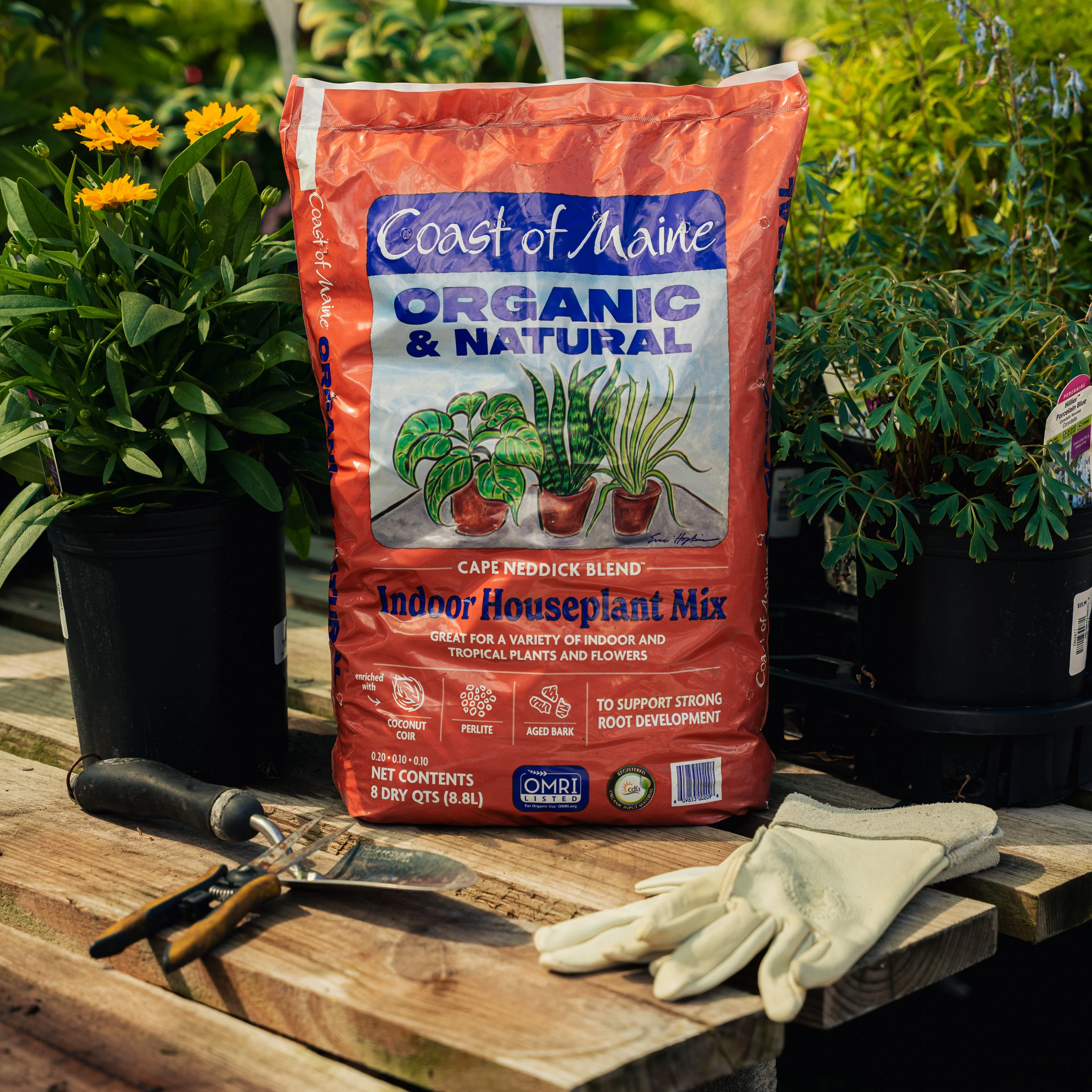 Coast Of Maine Organic Indoor Houseplant Soil Mix