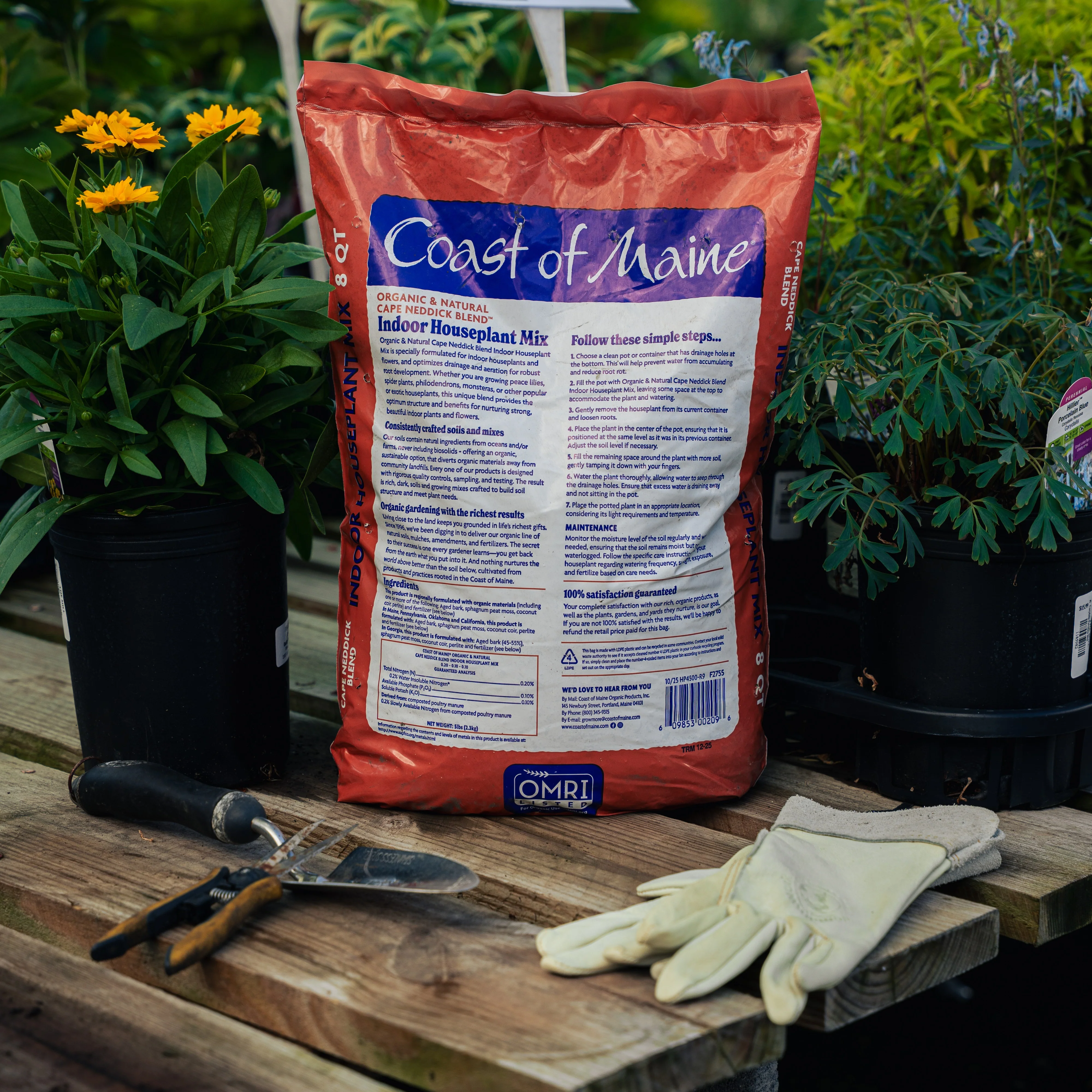 Coast Of Maine Organic Indoor Houseplant Soil Mix - Image 2