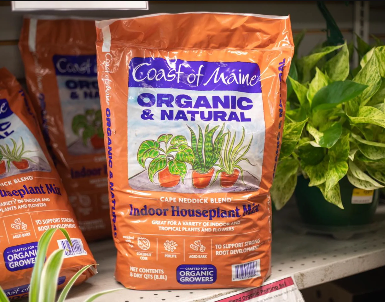Coast Of Maine Organic Indoor Houseplant Soil Mix - Image 4