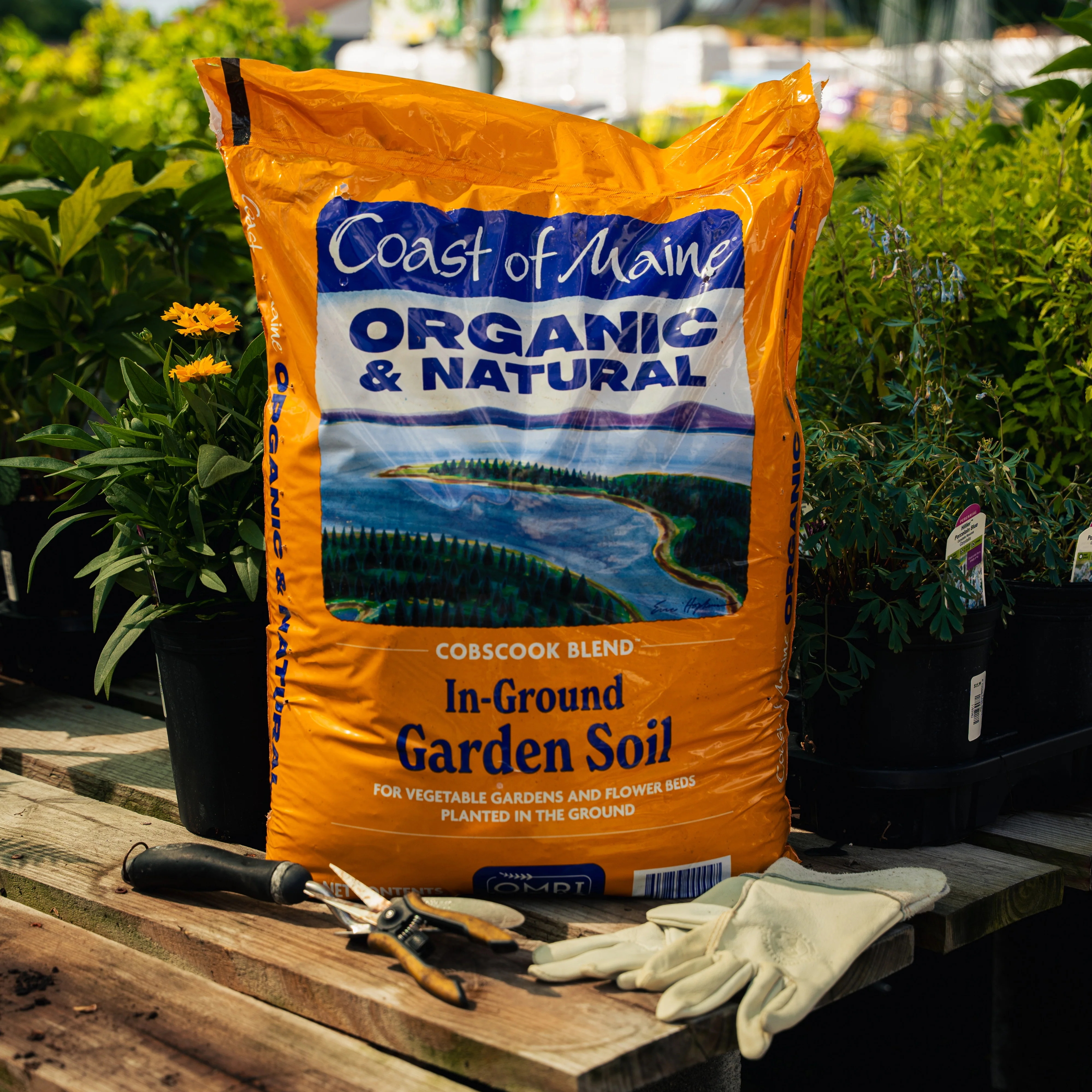 Coast of Maine Cobscook Organic Garden Soil