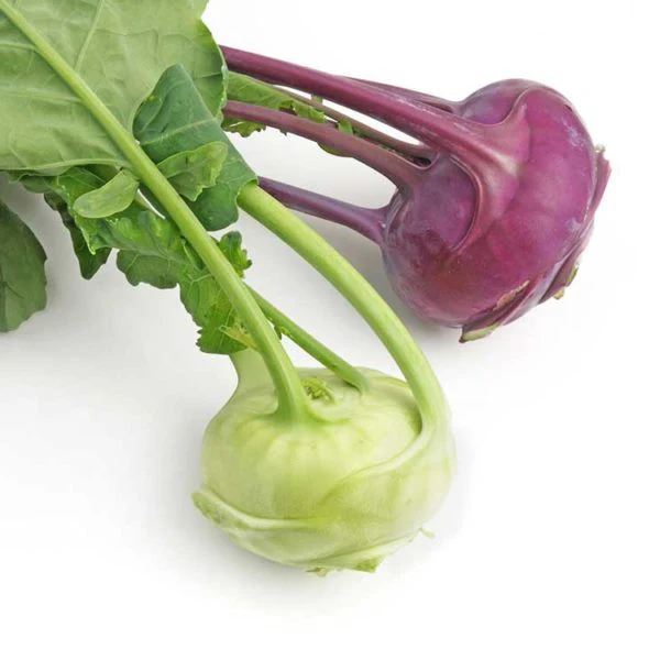 Early Purple Vienna Kohlrabi Vegetable Seed