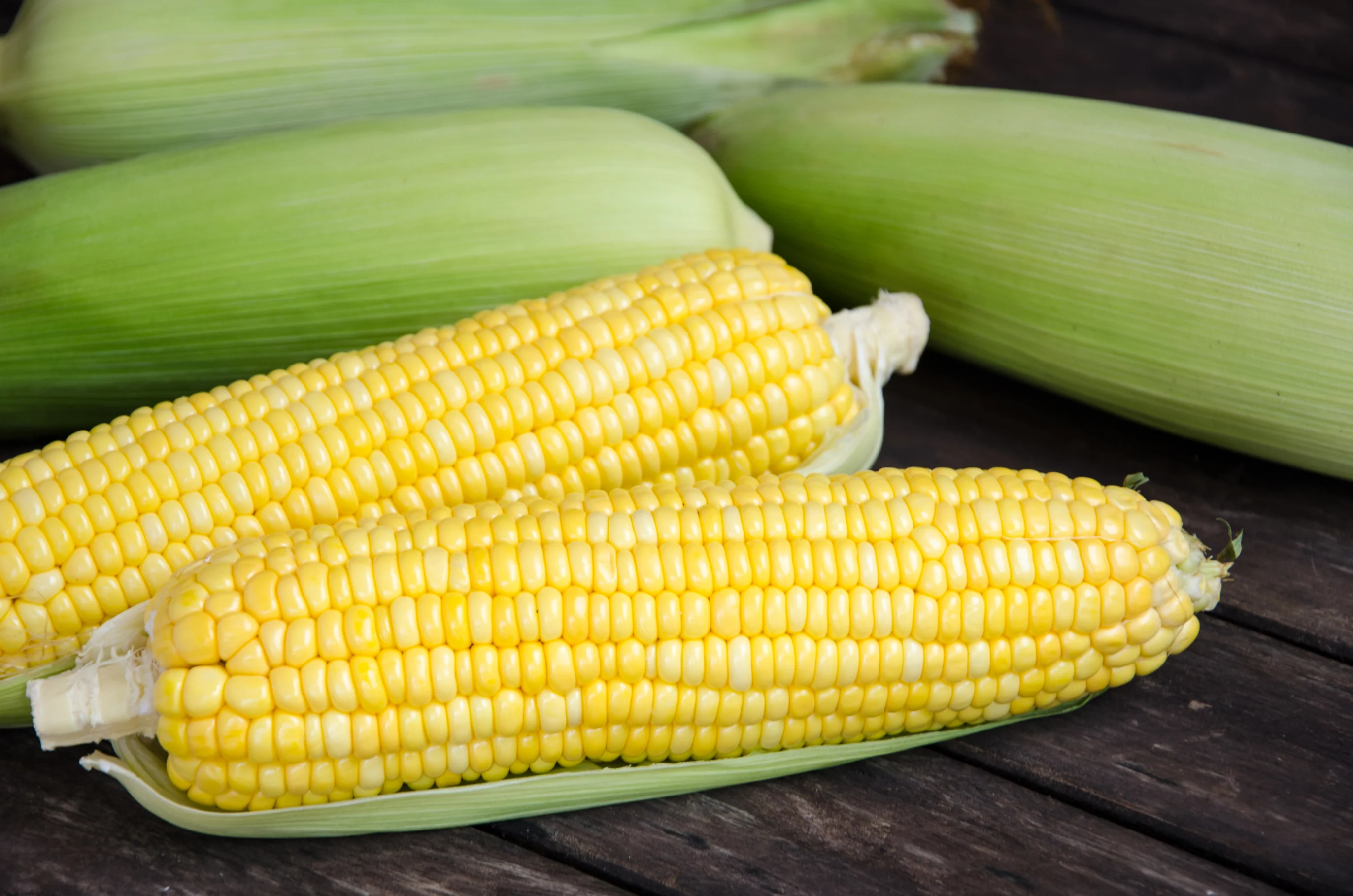 Takeoff Sweet Corn Vegetable Seed