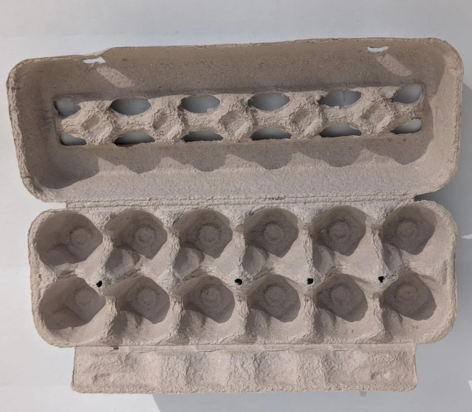 Egg Carton - Image 2