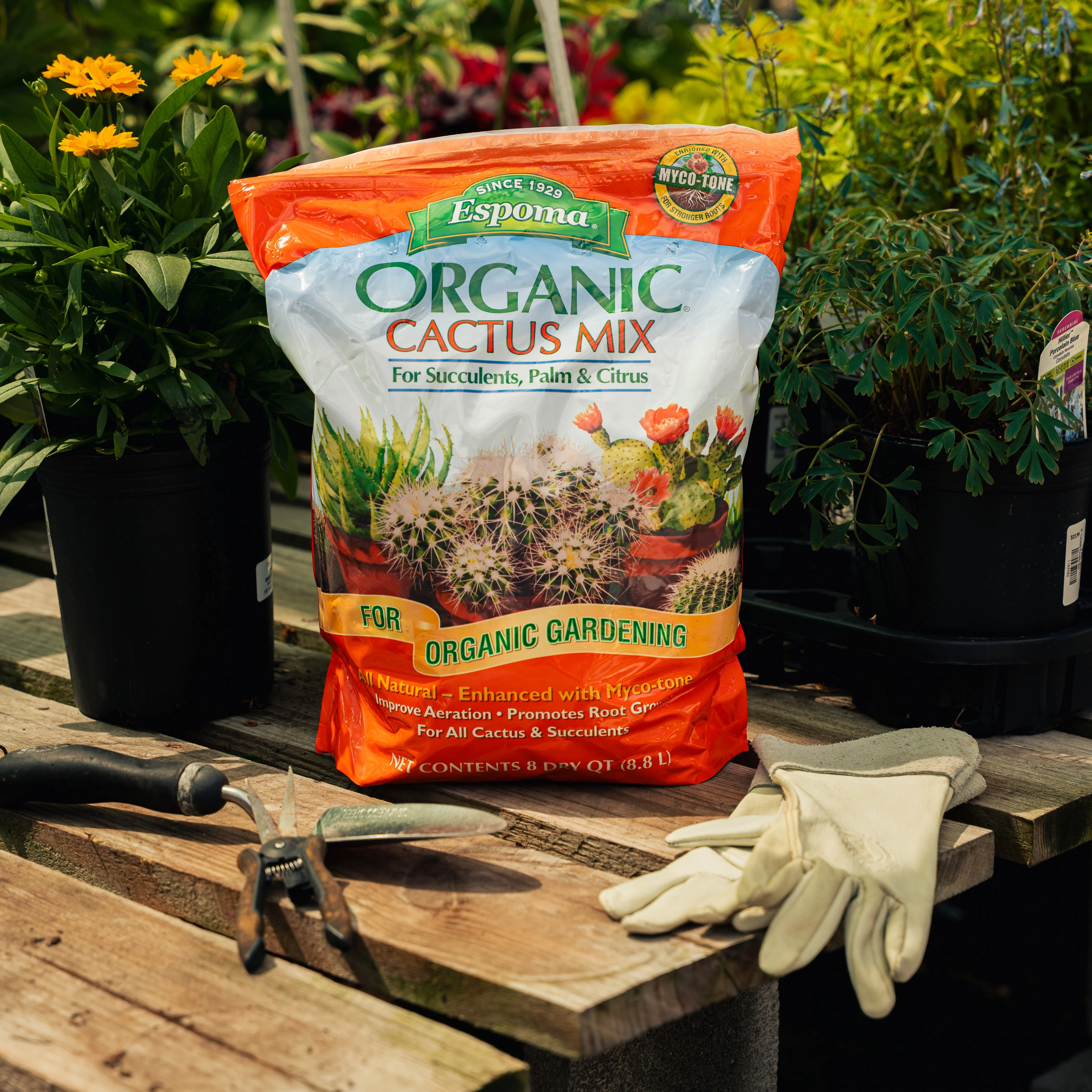 Espoma Organic Cactus Mix