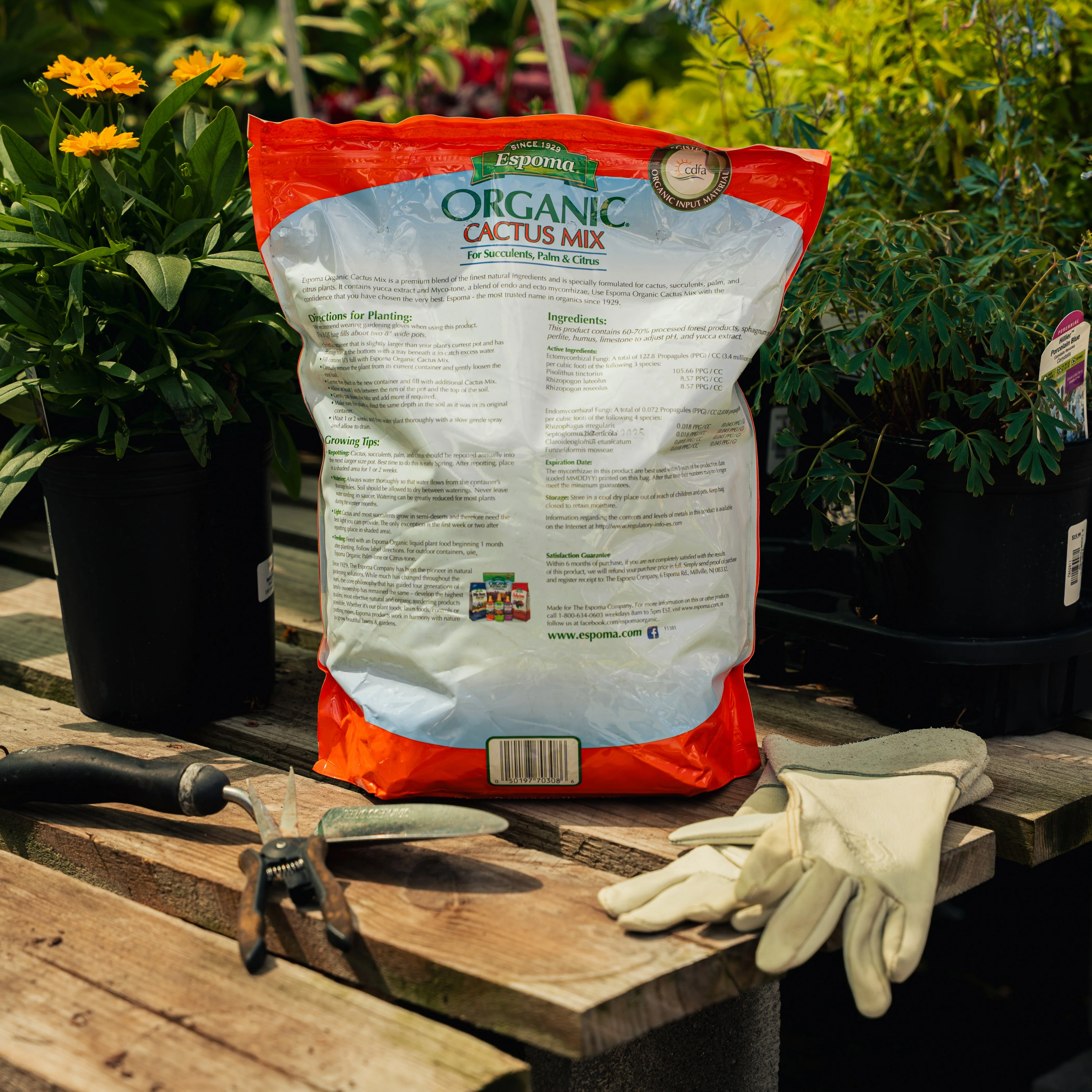 Espoma Organic Cactus Mix - Image 2