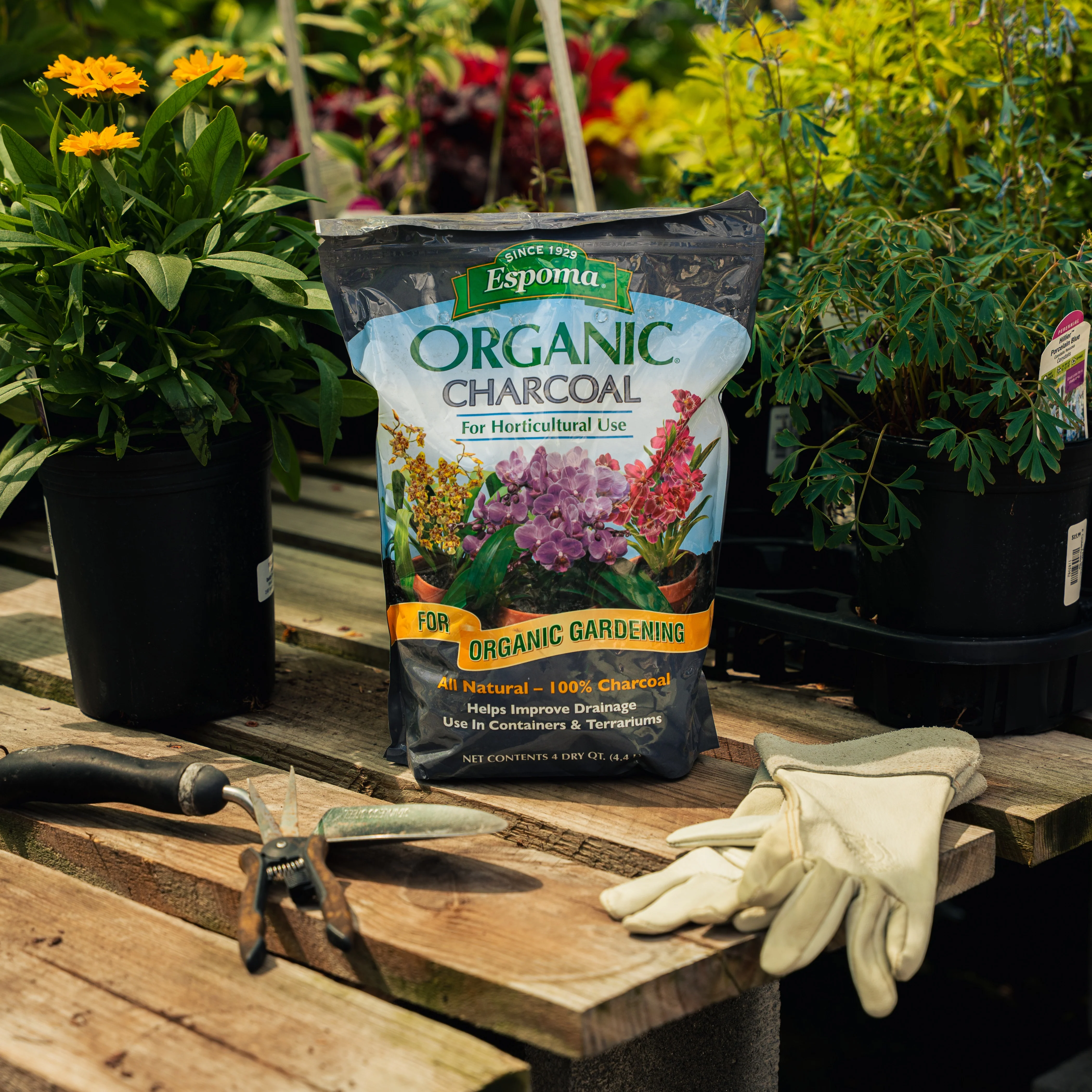 Espoma Organic Charcoal - 4 qt. Bag