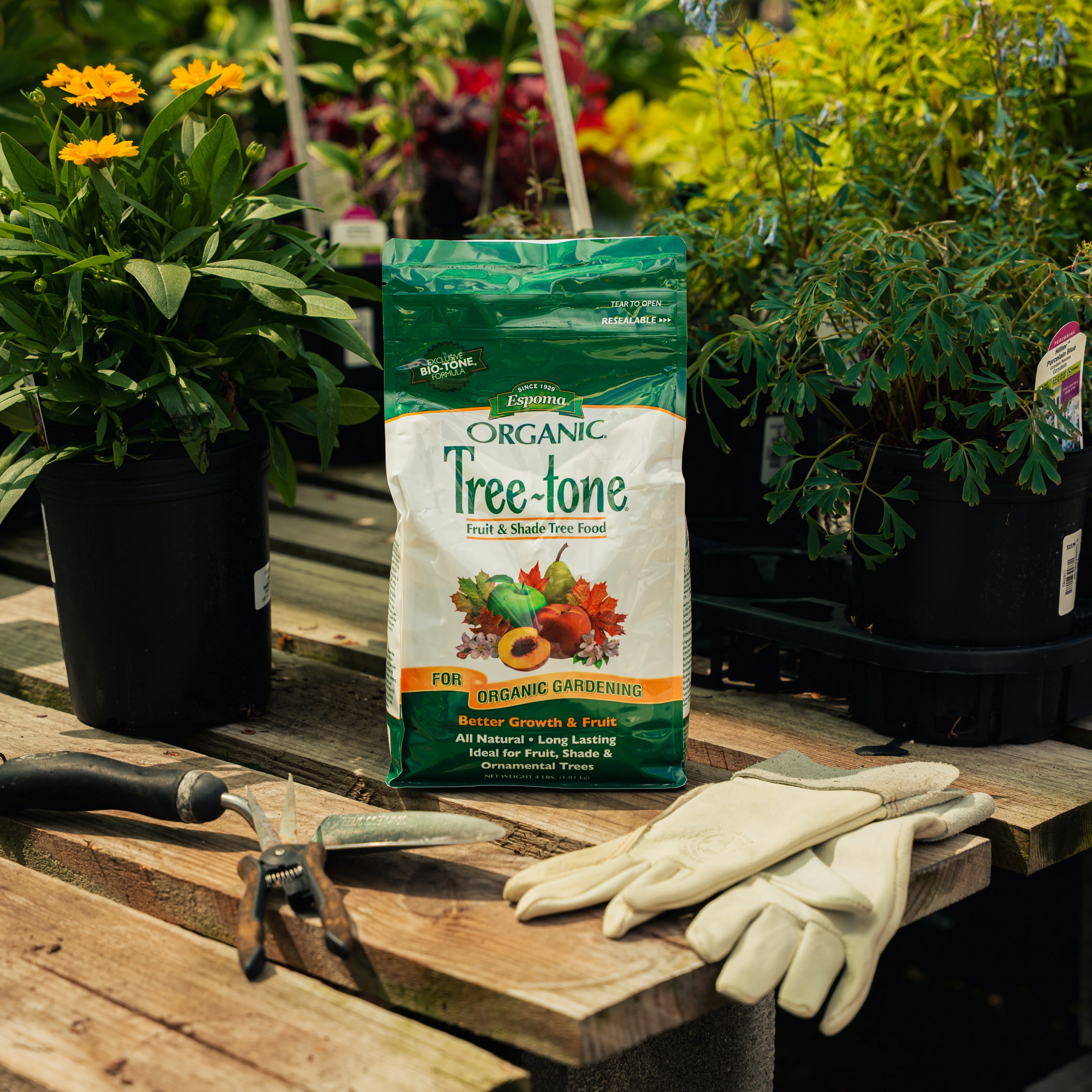 Espoma Organic Tree-tone Fertilizer