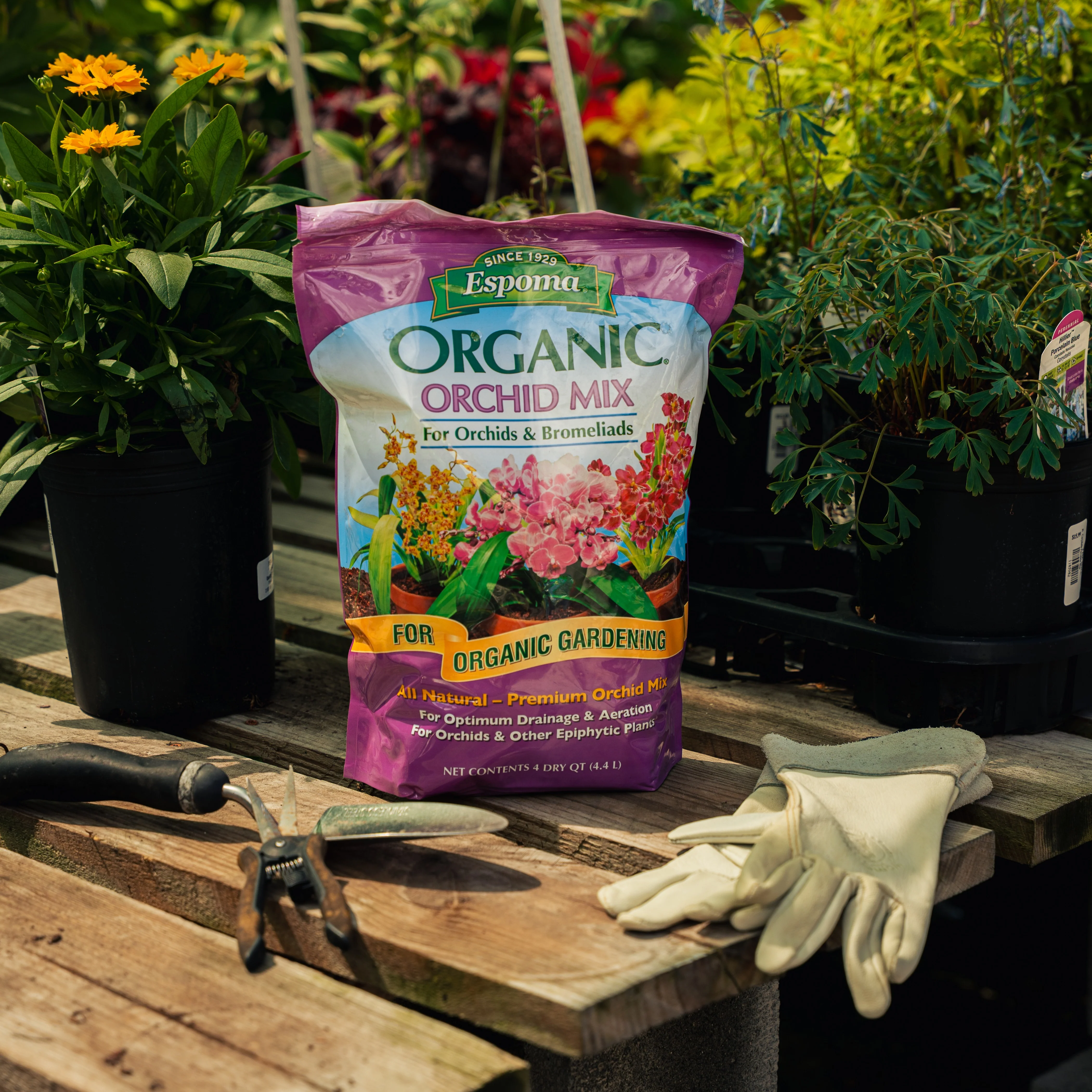 Espoma Orchid Potting Mix