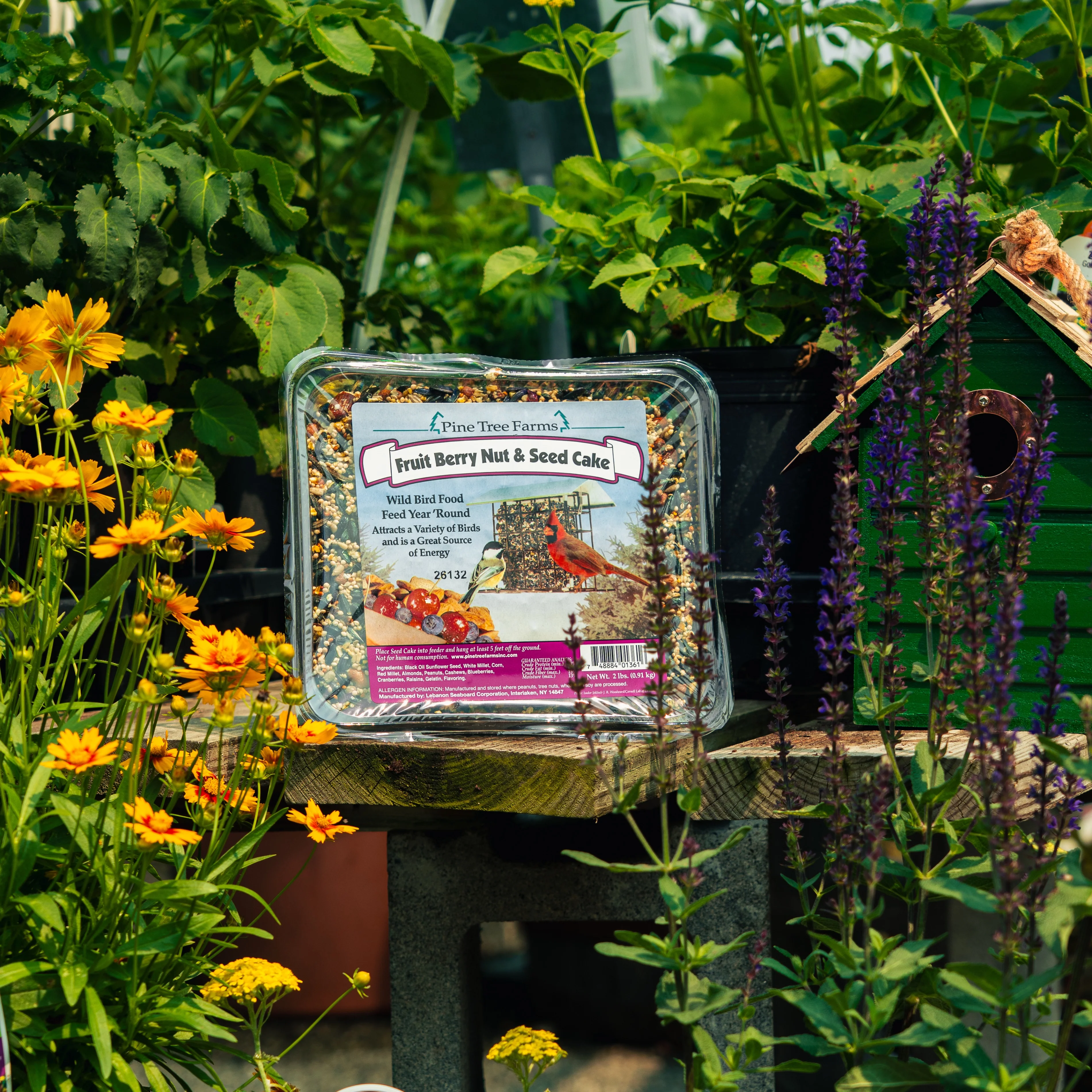 Fruit Berry Nut & Seed Cake 2 lbs Bird Feed