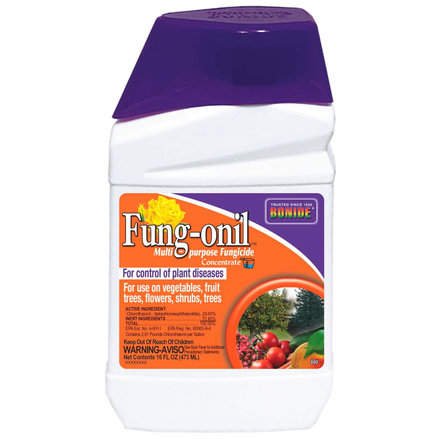 Fung-onil Fungicide Concentrate - Image 2