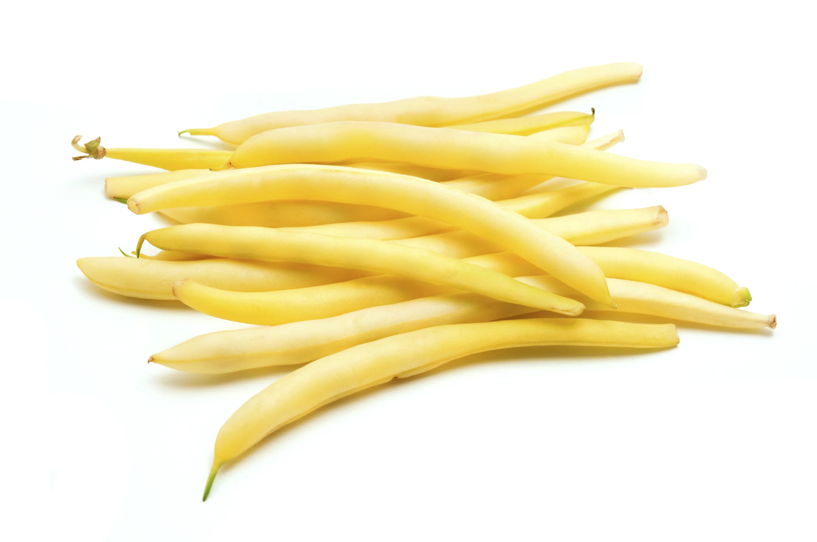 Gold Mine Waxed Bush Bean Vegetable Seed