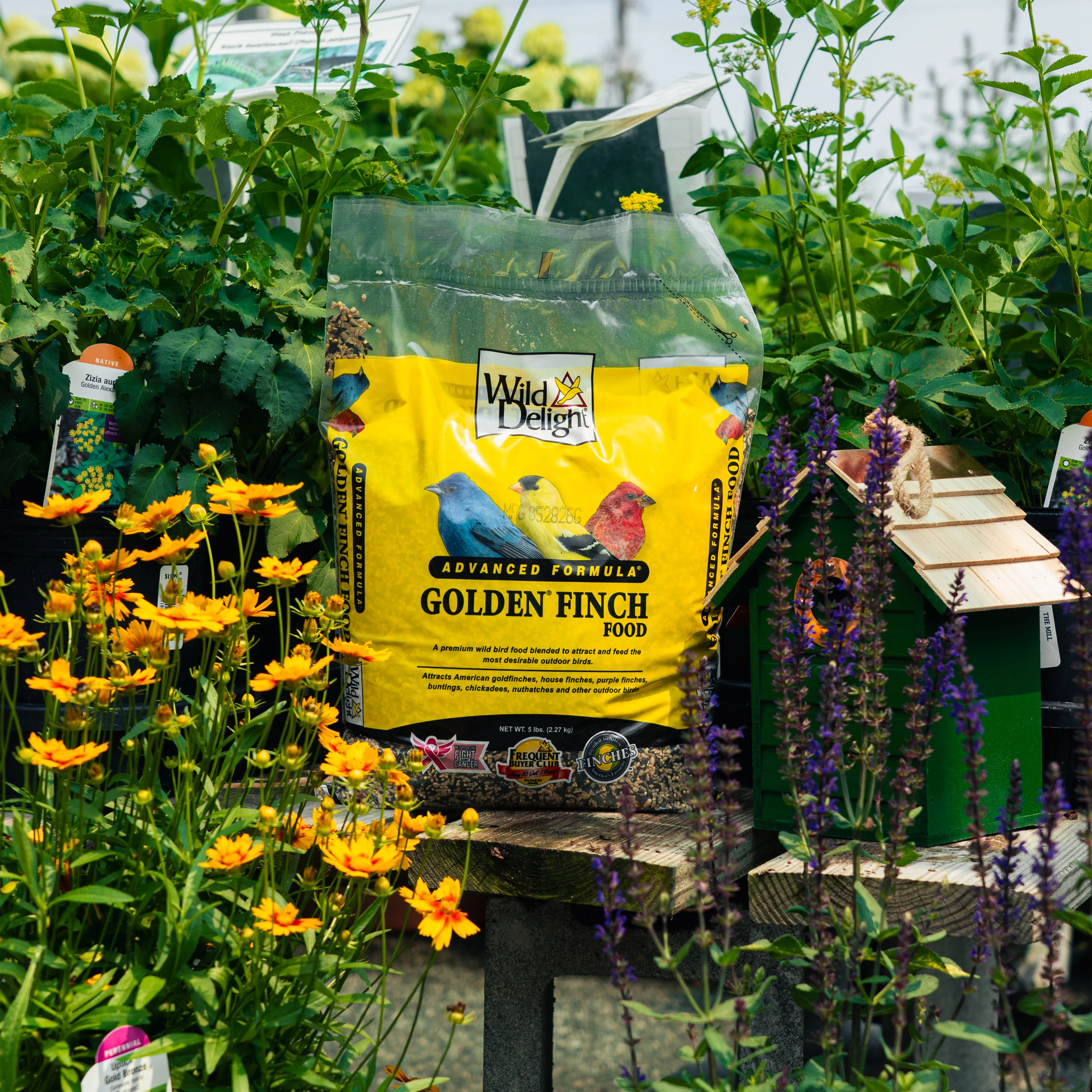 Wild Delight Golden Finch Food