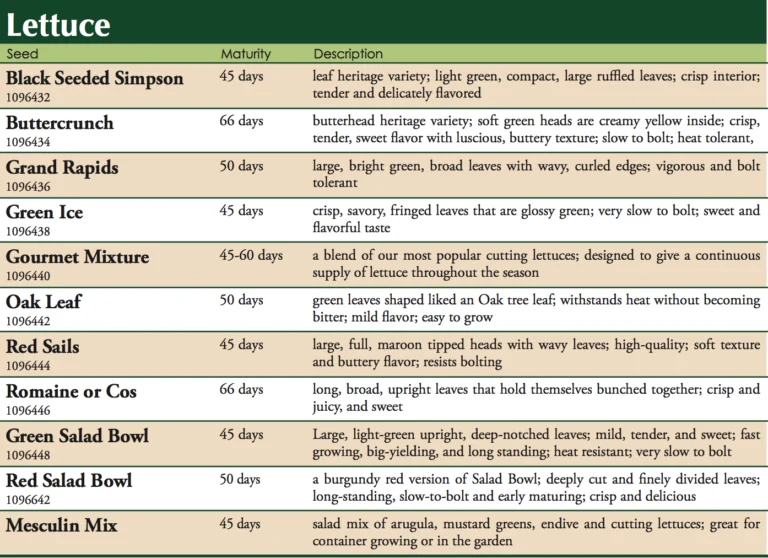 Gourmet Mixture Lettuce Vegetable Seed - Image 2