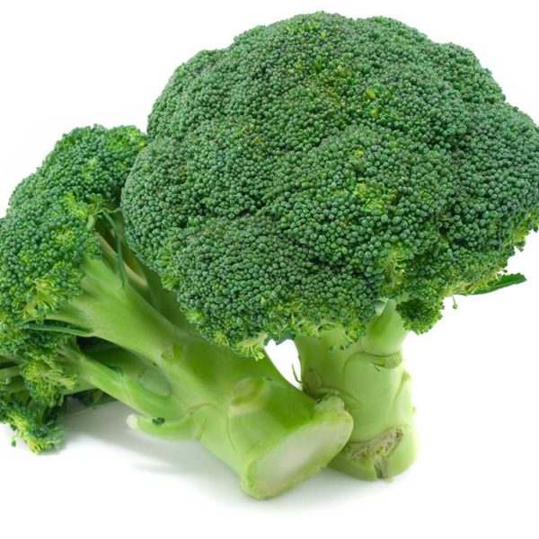 Green Magic Hybrid Broccoli Vegetable Seed - Image 3