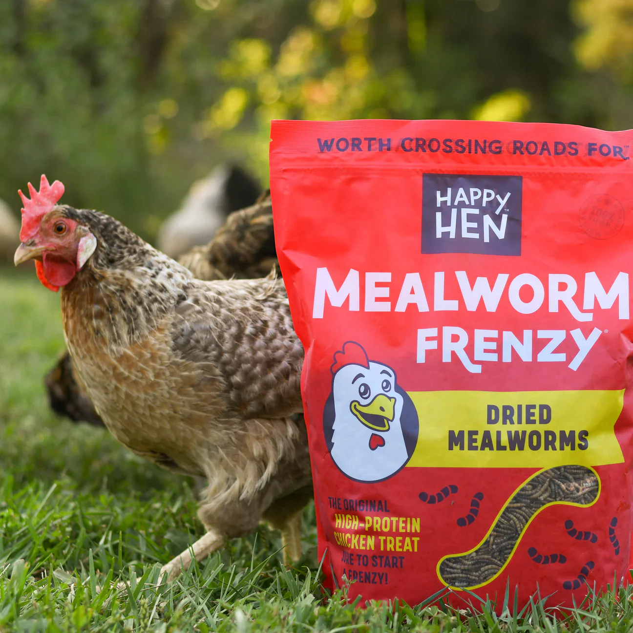 Happy Hen Mealworm Frenzy Dried Mealworms, 10 oz. - Image 2