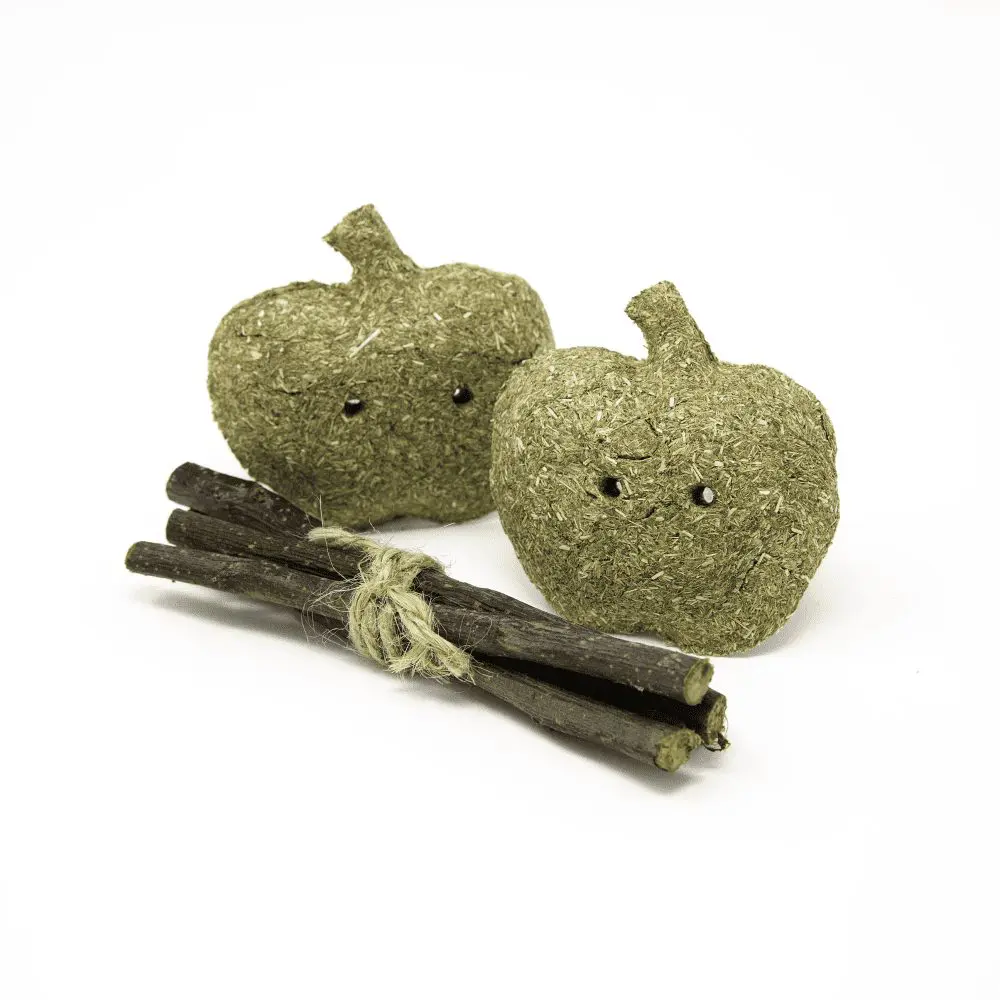 Oxbow Timothy Apples and Sticks Small Pet Treat - Image 3