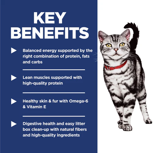 Hill’s Science Diet® Adult Indoor Chicken Recipe Dry Cat Food - Image 4