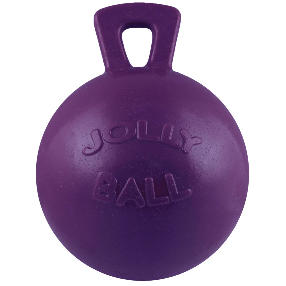 Jolly Ball 10 inch Dog and Horse Toy - Image 13