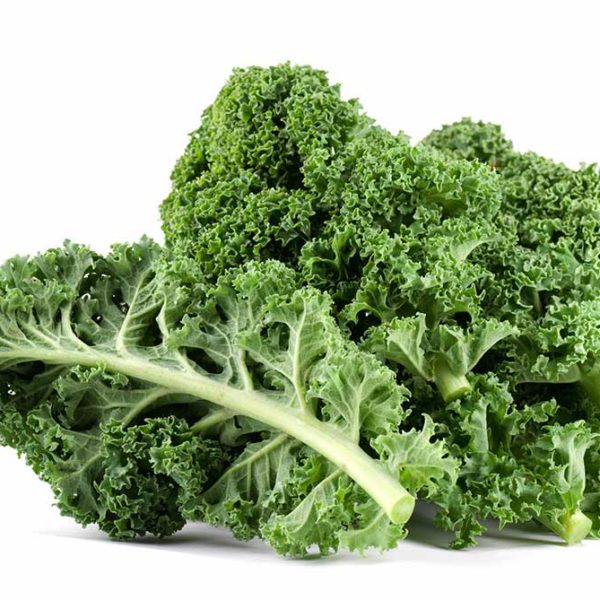 Lacinato Kale Vegetable Seed