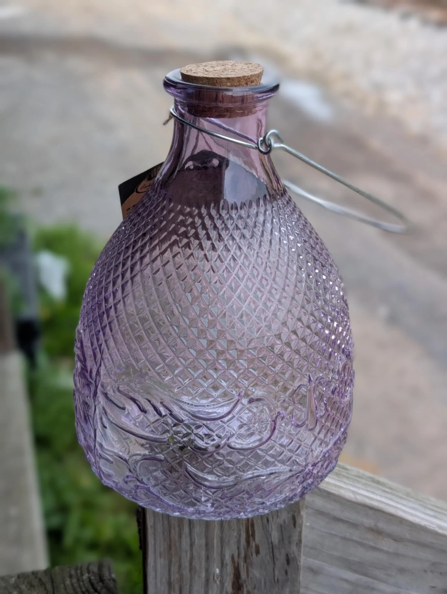 Large Hobnail Glass Wasp Trap