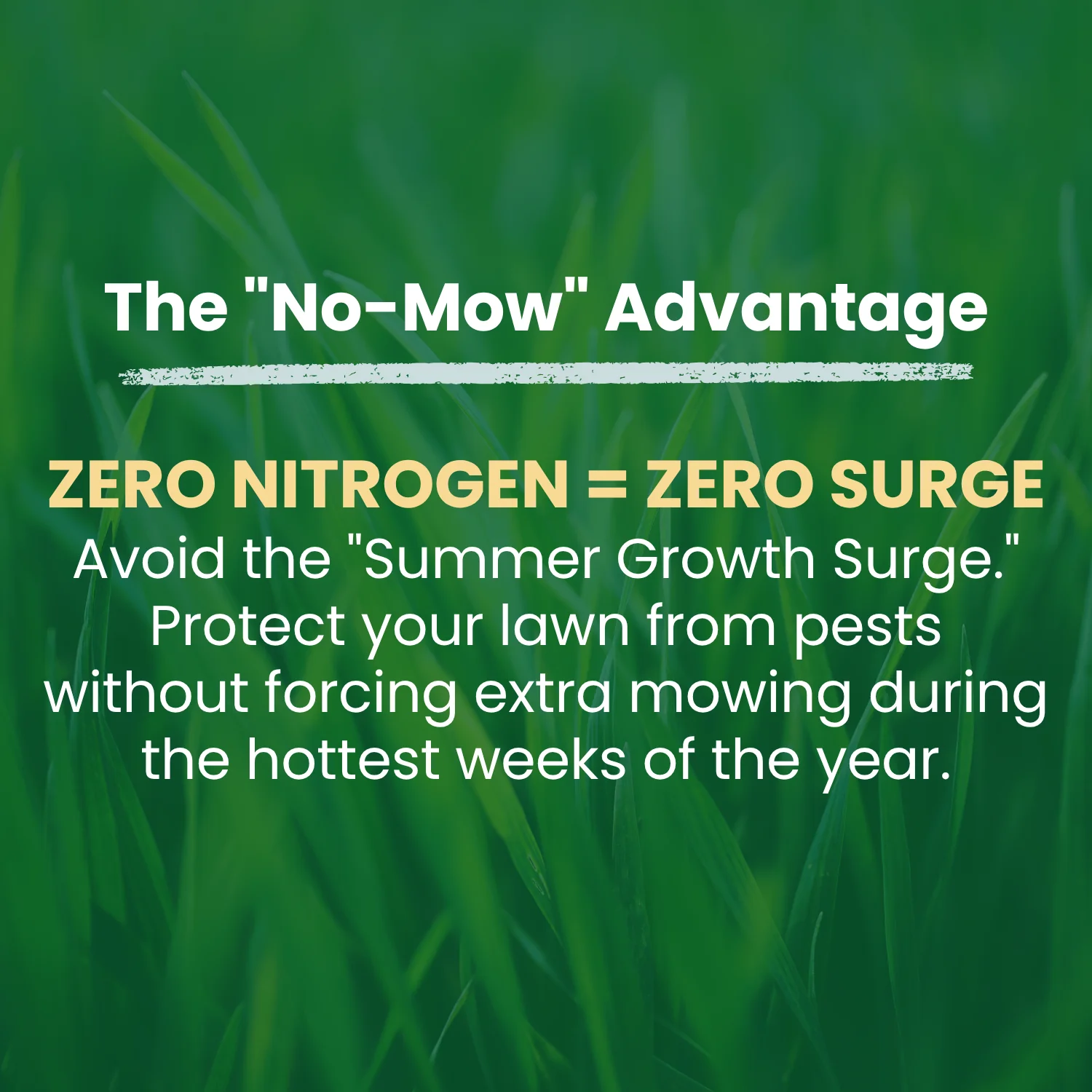 Lebanon Pro® 0-0-7 Fertilizer with .067% Acelepryn - Image 2