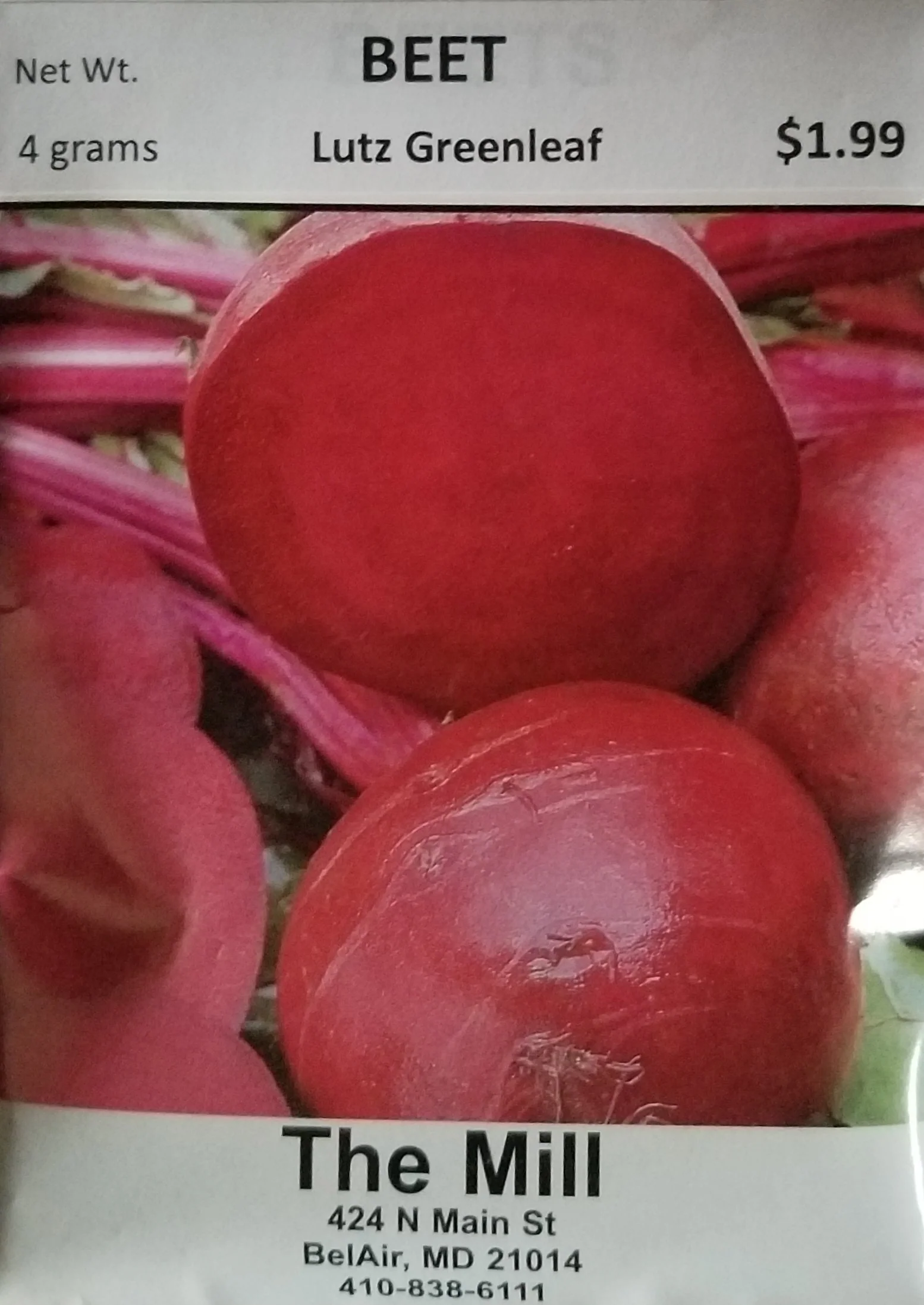 Lutz Green Leaf Beet Vegetable Seed - Image 3