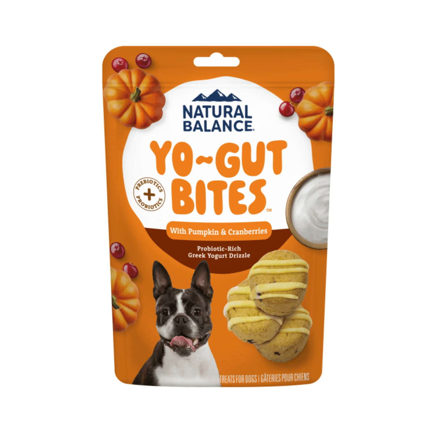 Natural Balance® Yo-Gut Bites Dog Treats – Pumpkin & Cranberries