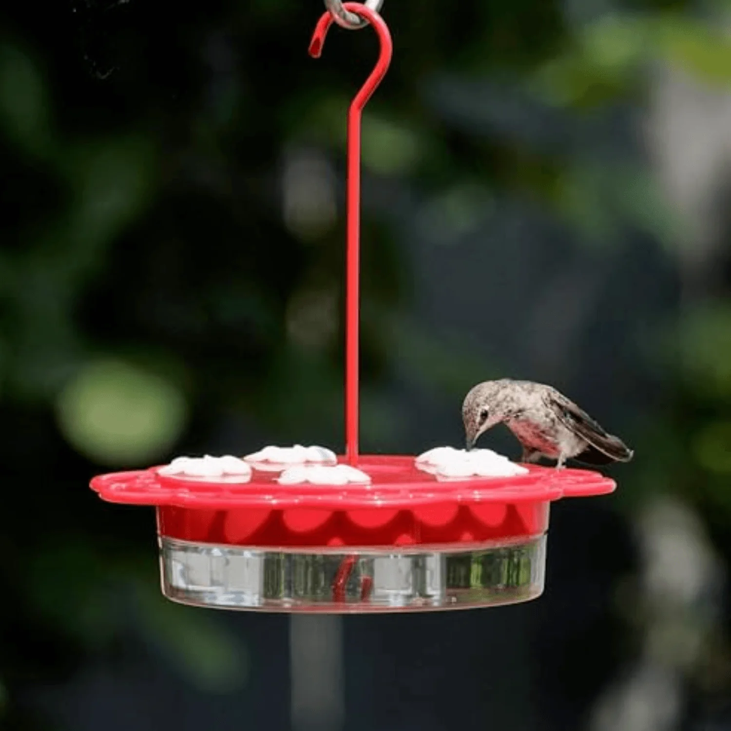 Nature’s Way® 2-in-1 Plastic Dish Hummingbird Feeder – 13 oz. - Image 2