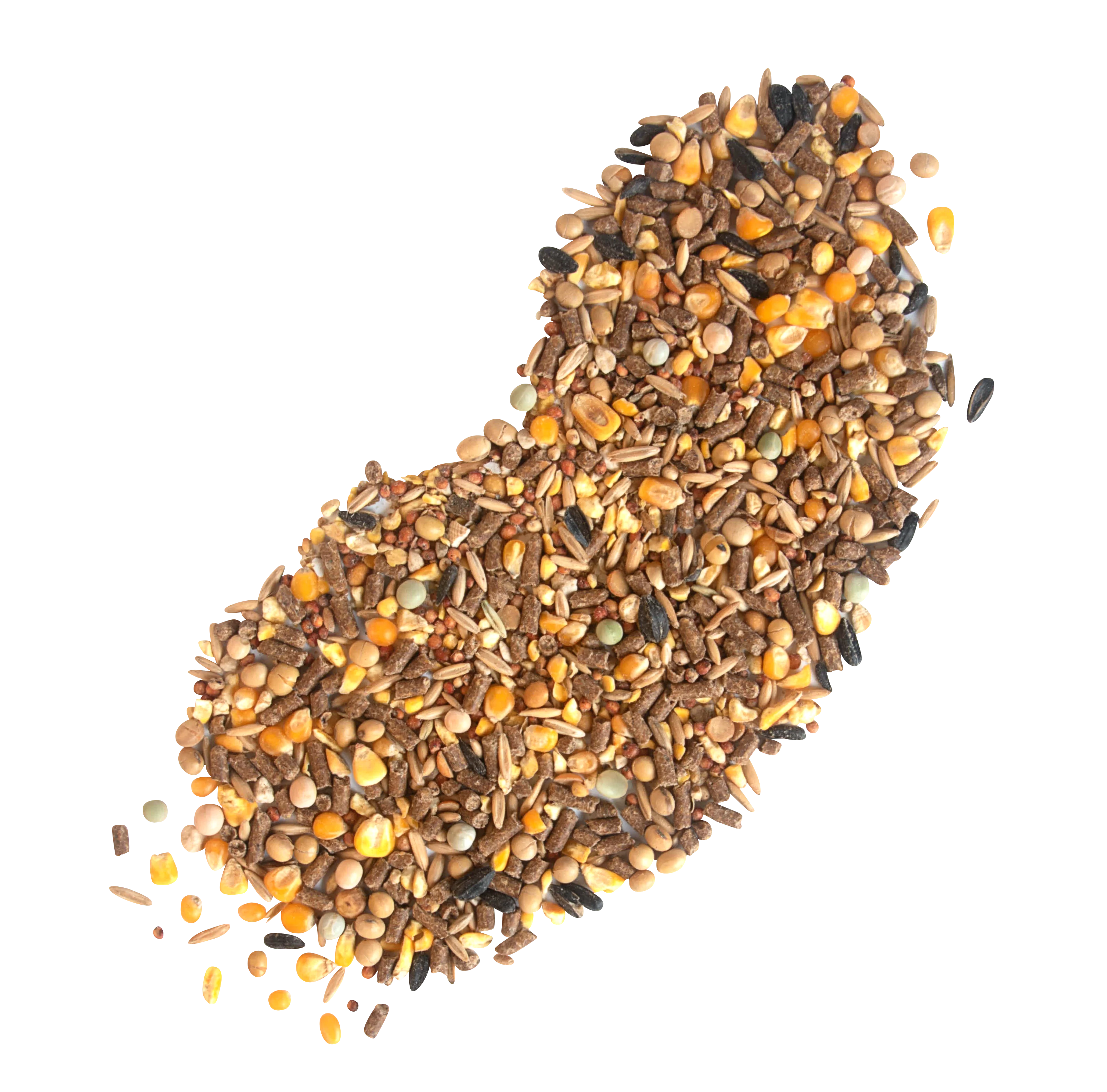 Nutrena Harvest Blend 18% Textured Chicken Feed, 40 lb - Image 4