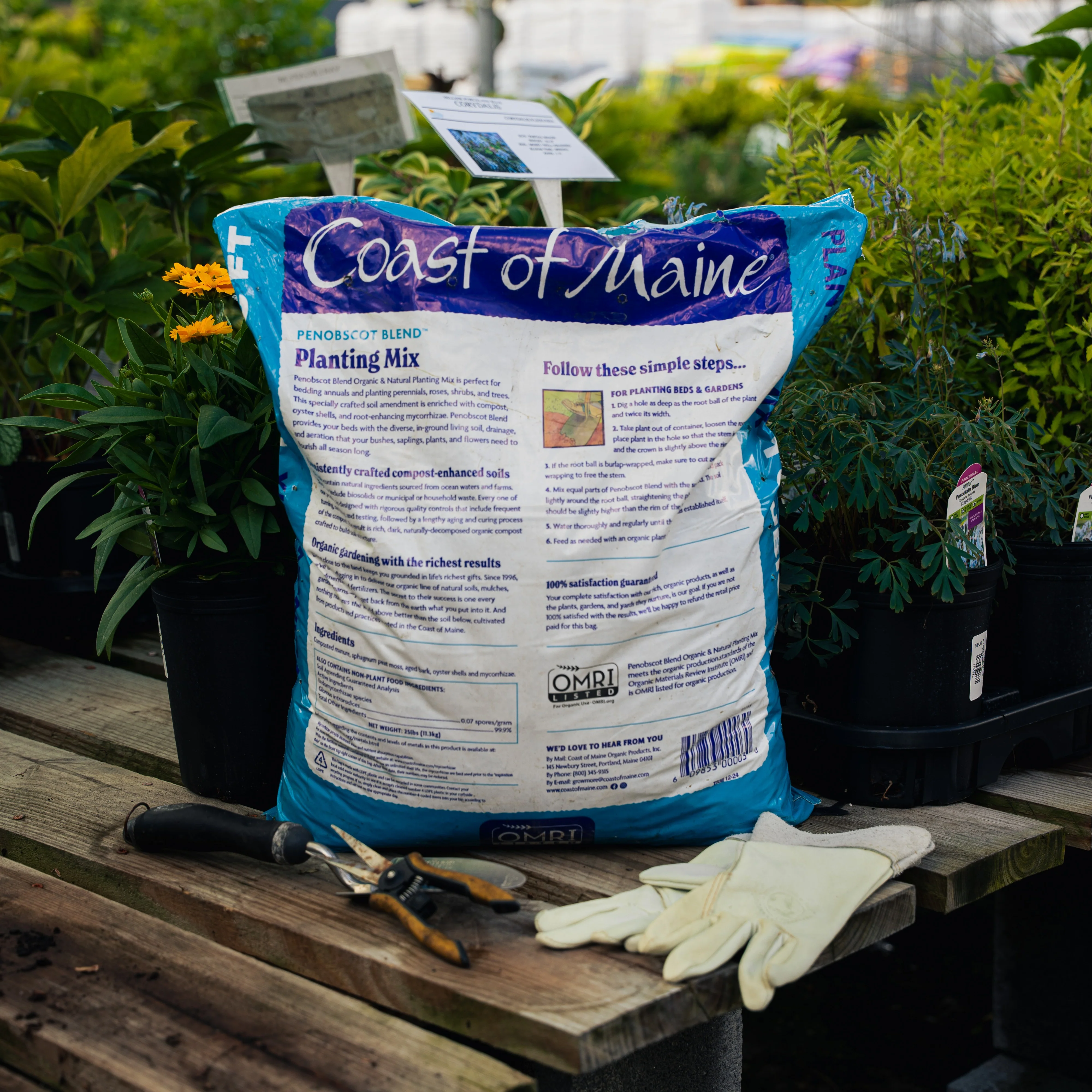Penobscot Blend Organic & Natural Planting Mix - Image 2