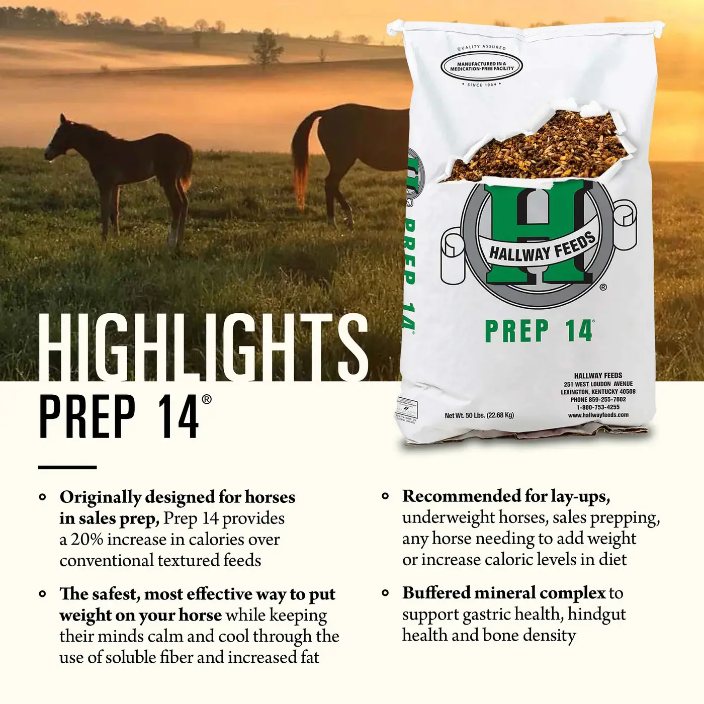 Hallway Feeds Prep 14 Horse Feed - Image 2
