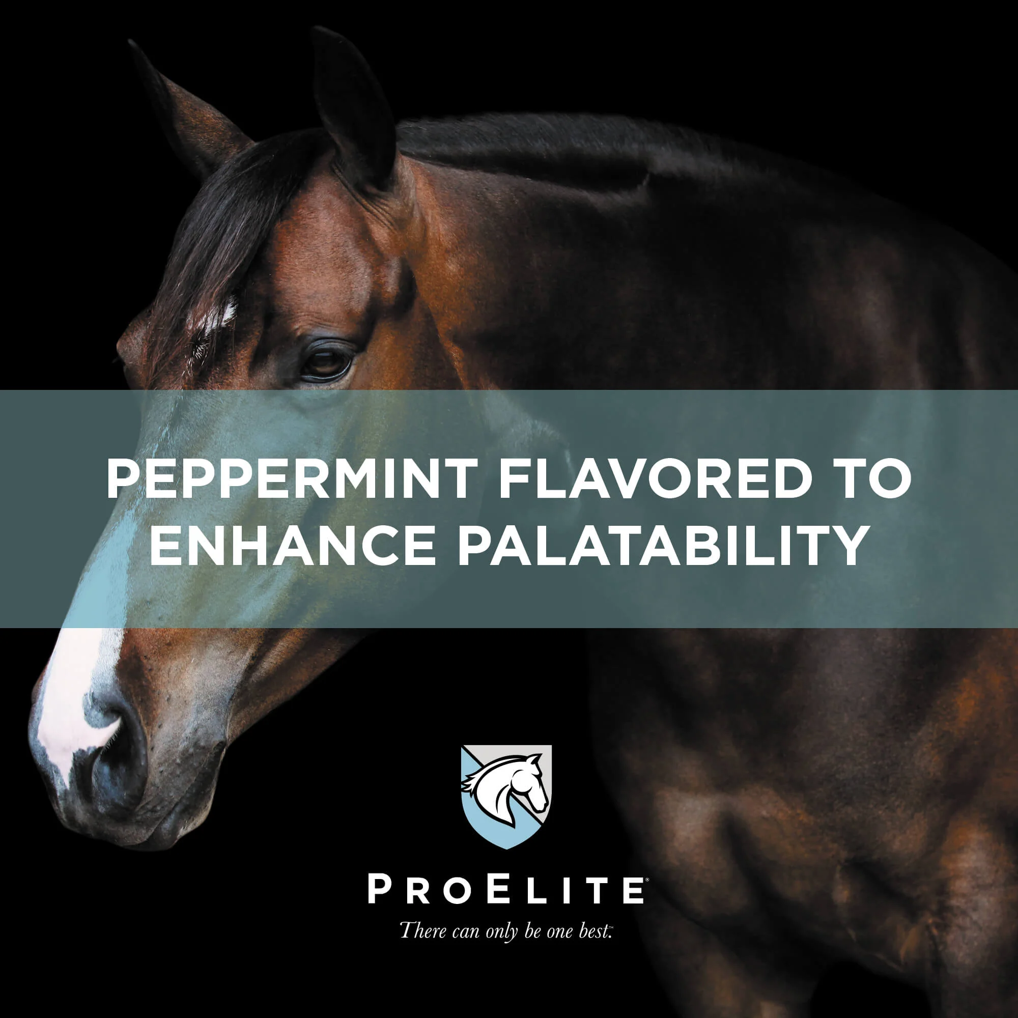 ProElite GutBiome Supplement for Horses - Image 8