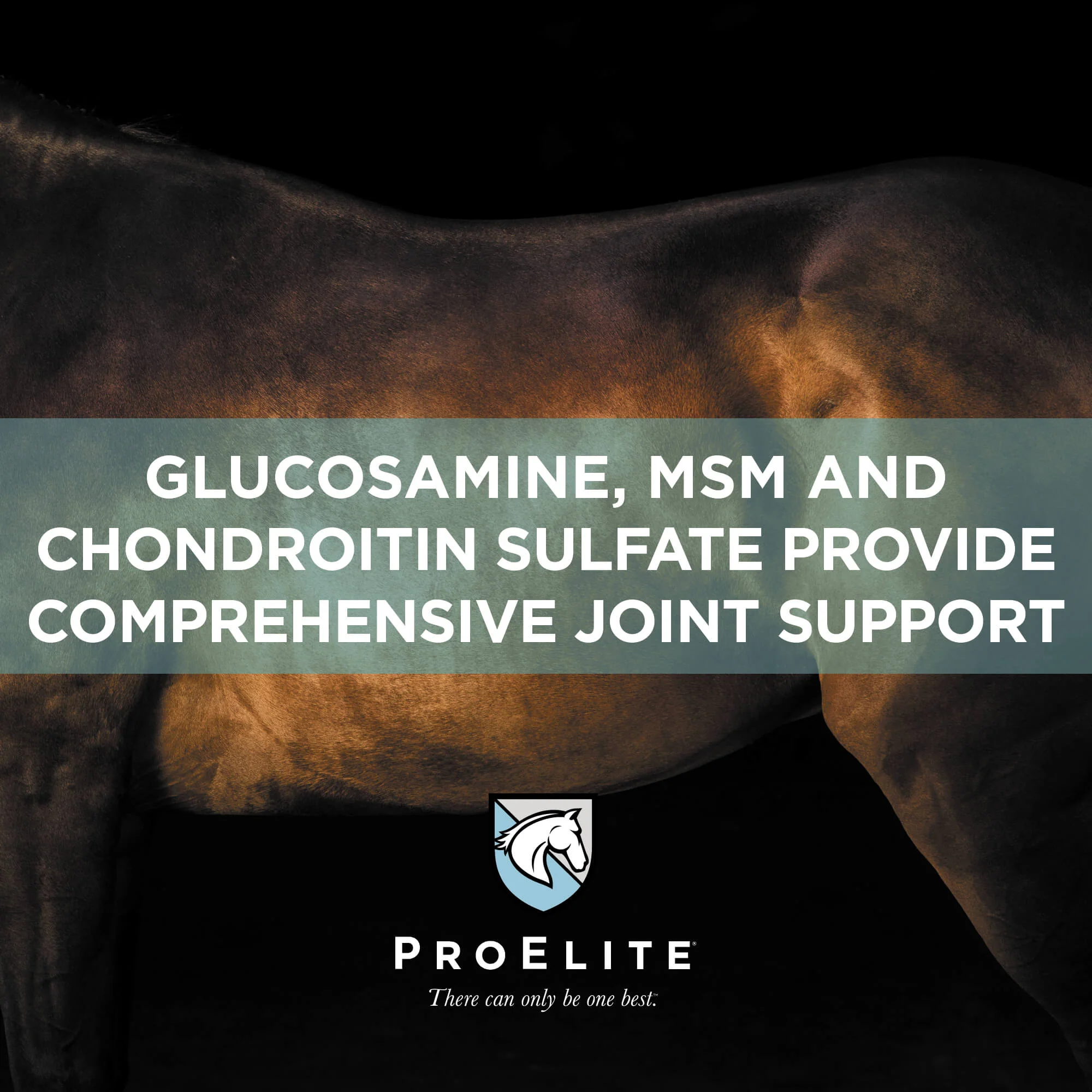 ProElite Joint Supplement for Horses - Image 5