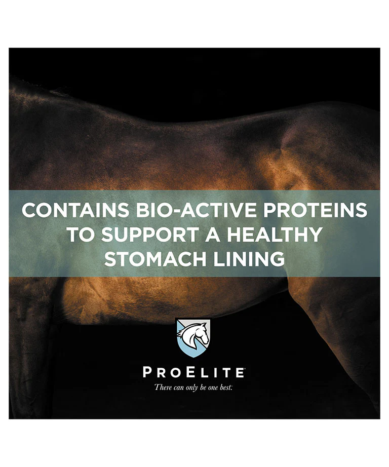 ProElite Soothing Pink Xtra Strength supplement for horses - Image 4