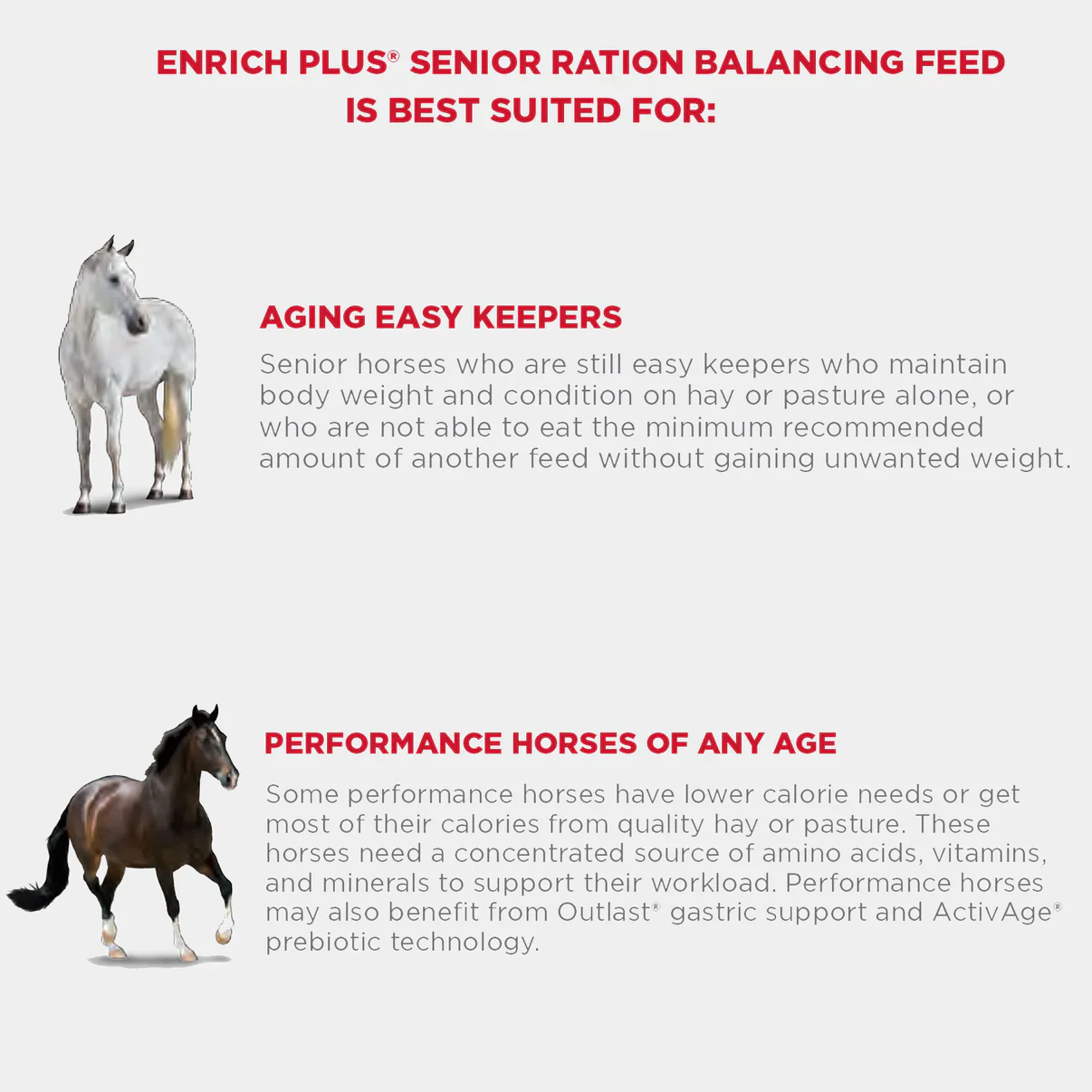 Purina® Enrich Plus® Senior Ration Balancing Horse Feed - Image 3