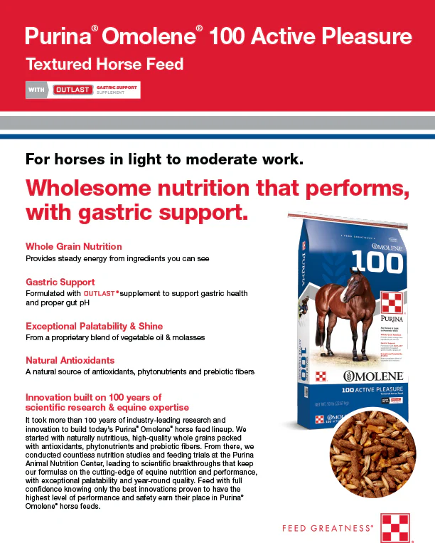 Purina Omolene 100 Active Pleasure Horse Feed - Image 4