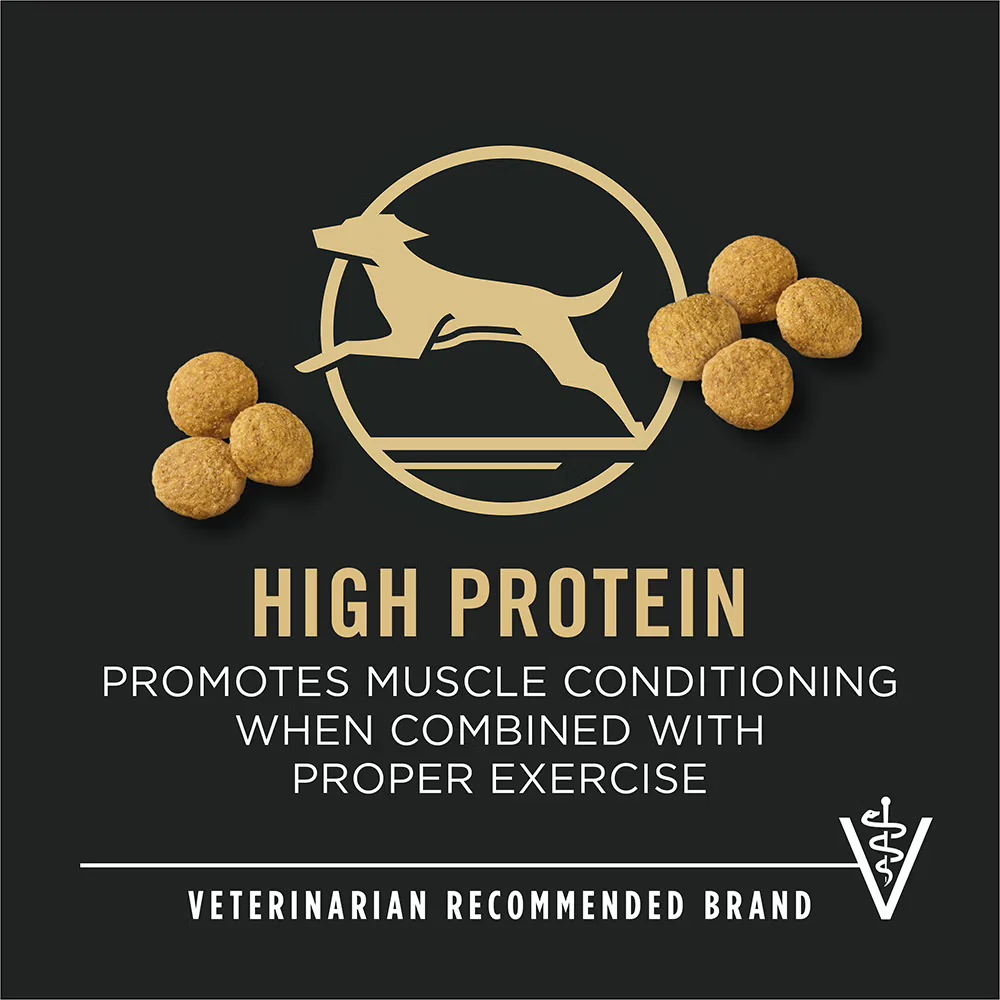 Purina Pro Plan® Adult Large Breed Chicken & Rice Formula Dry Dog Food - Image 6